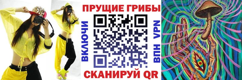 Псилоцибиновые грибы мухоморы  где продают   Туринск 